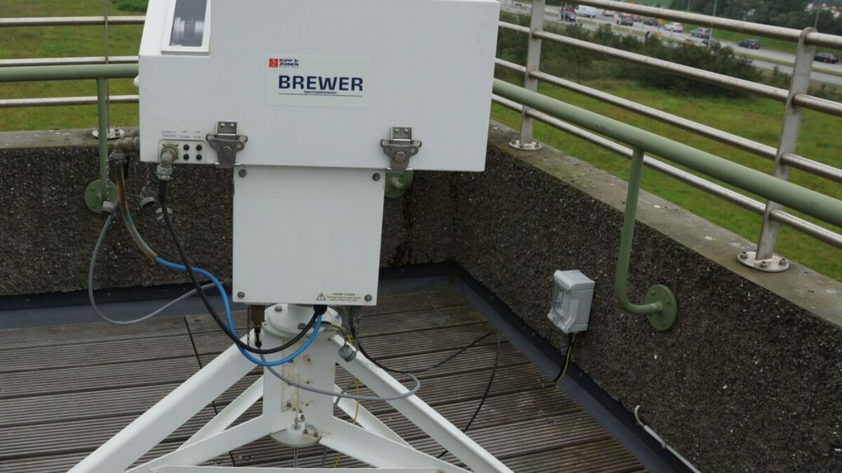 Brewer Cropped