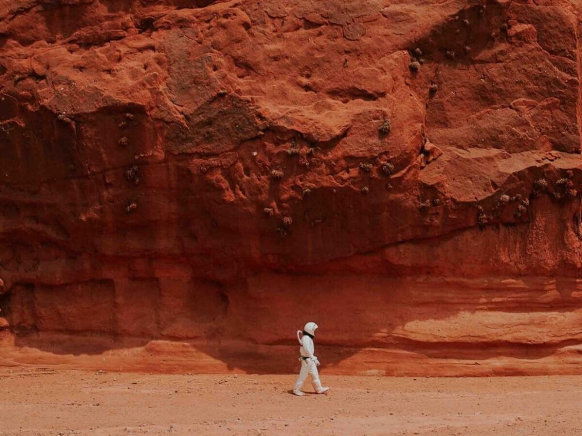 person walking near brown rock