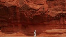person walking near brown rock