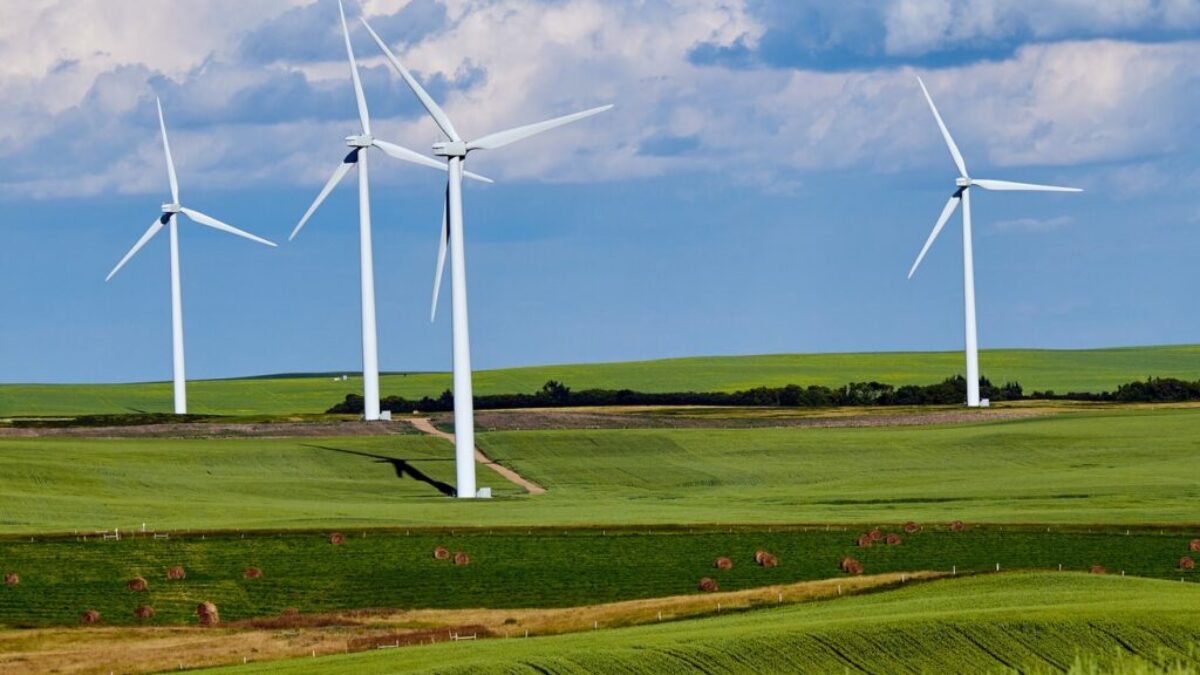 white windmill
