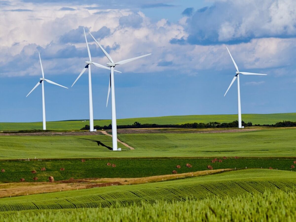 white windmill