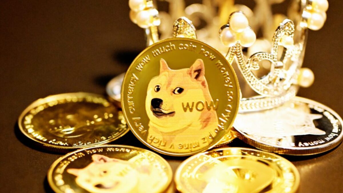 gold and white cat on round gold coins