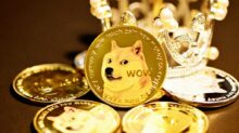 gold and white cat on round gold coins