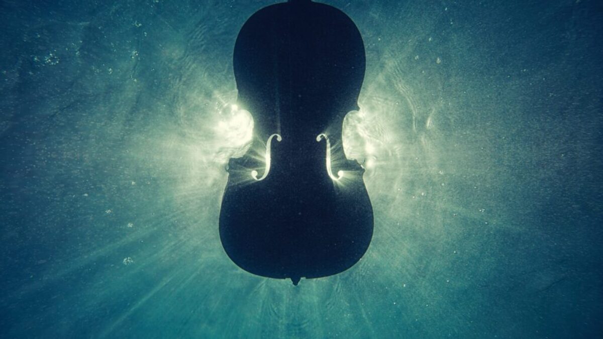 black violin on underwater digital wallpaper