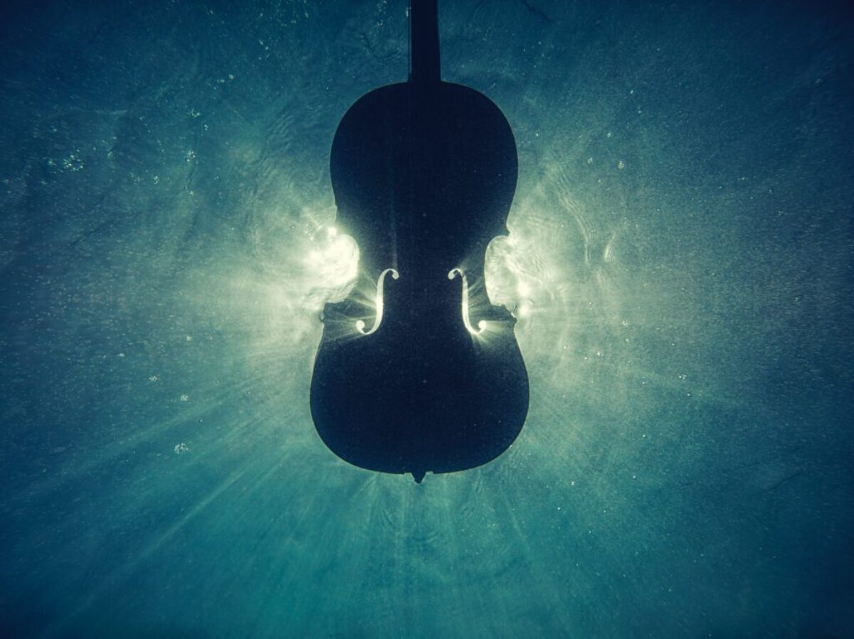 black violin on underwater digital wallpaper