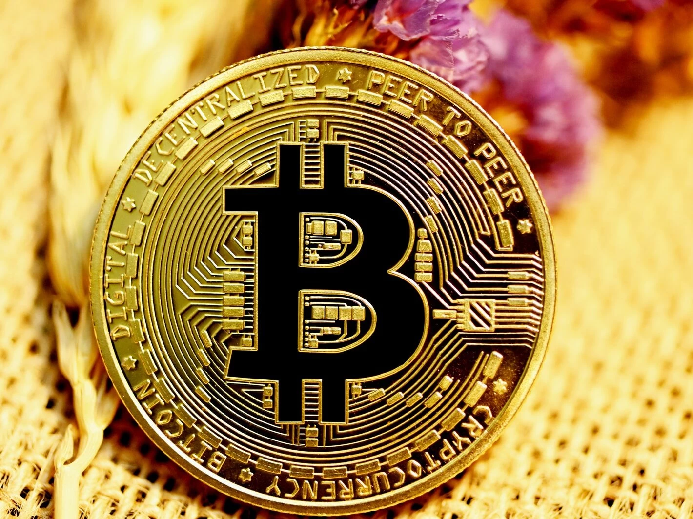 gold and black round coin