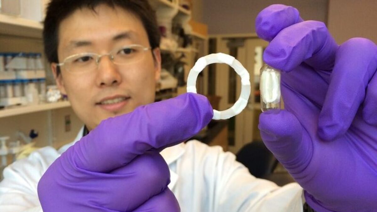 Mit Gastric Devices 1 0