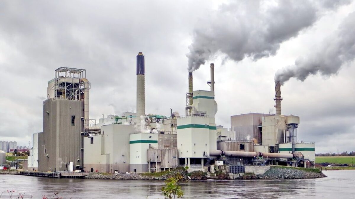 white and green factory building near body of water during daytime