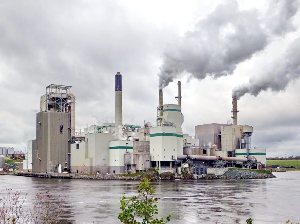 white and green factory building near body of water during daytime
