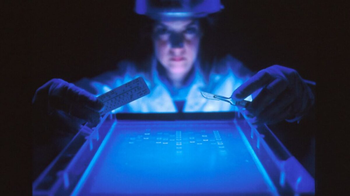 woman doing research while holding equipment
