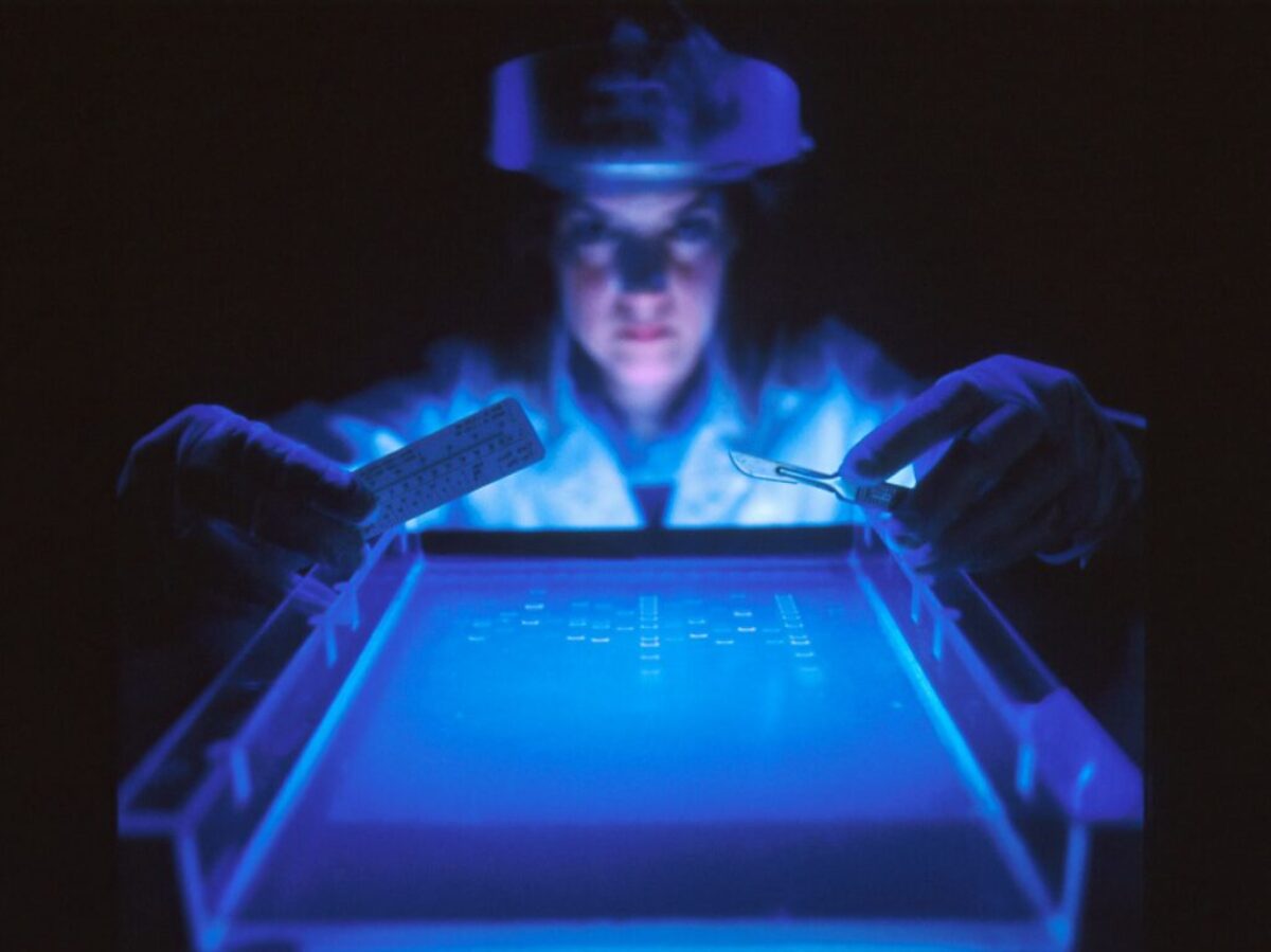 woman doing research while holding equipment