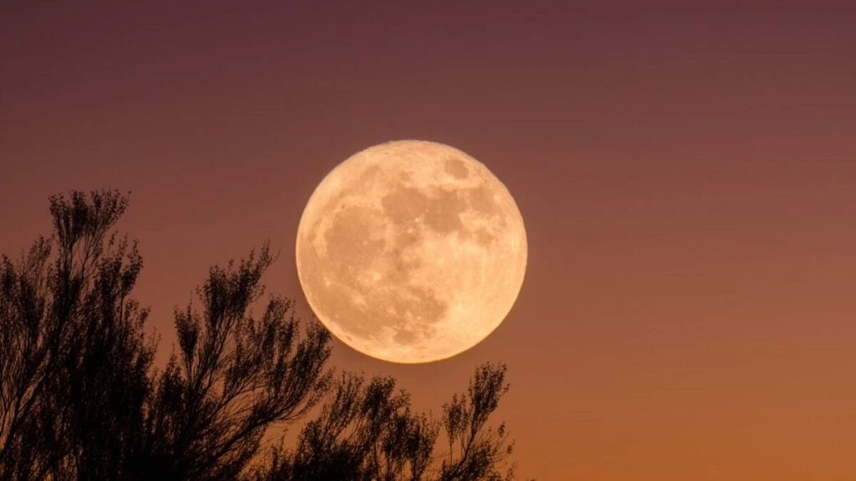 full moon