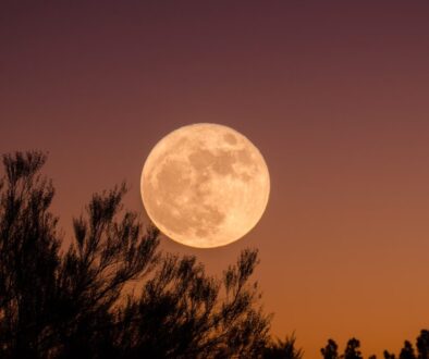 full moon