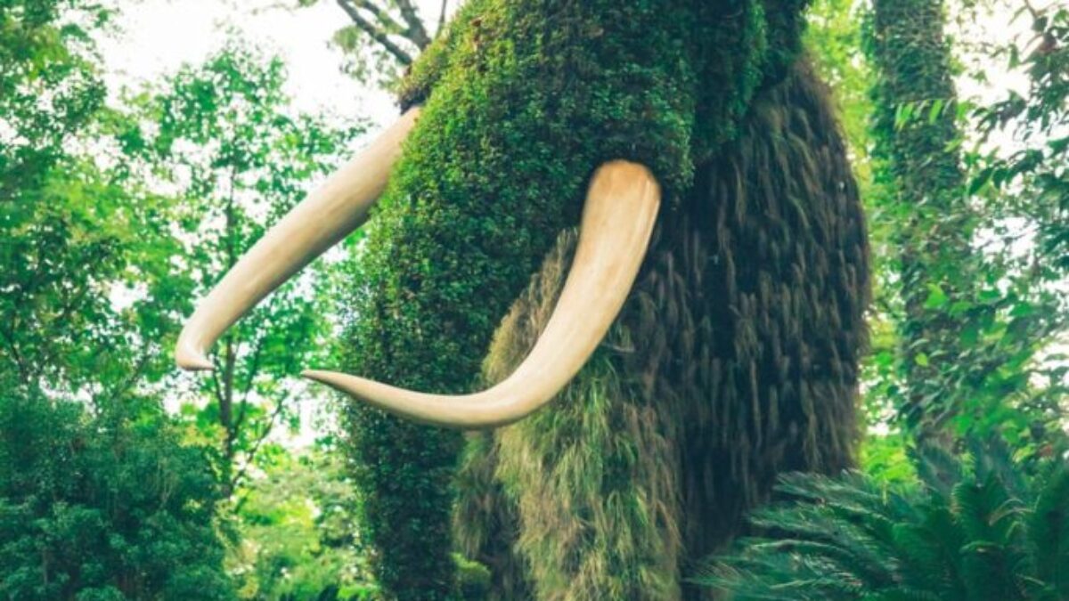 mammoth