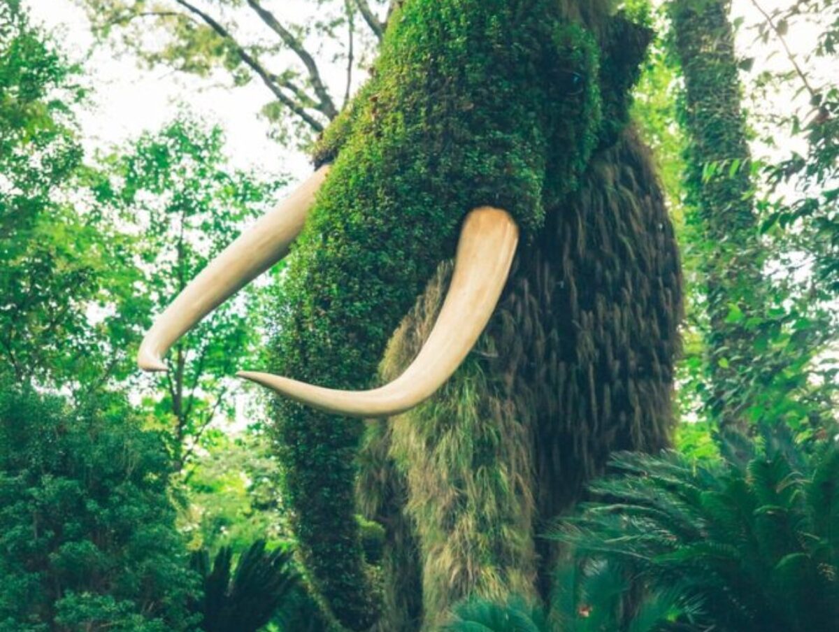 mammoth