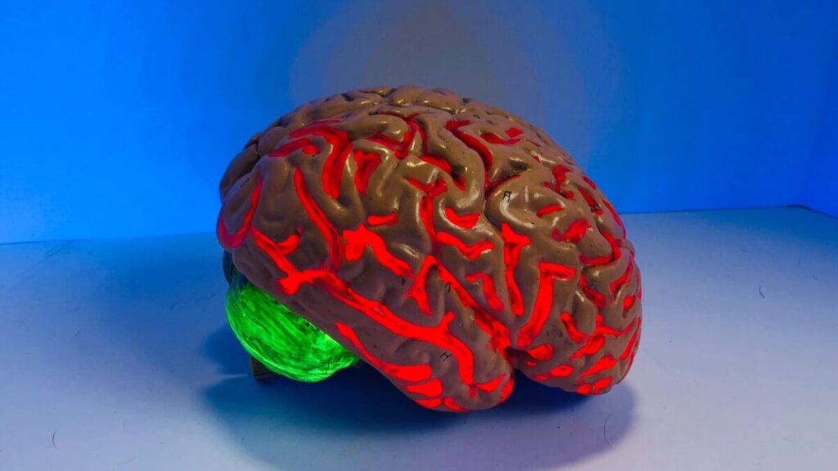 brain figurine