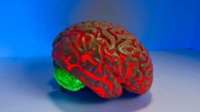 brain figurine