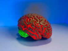 brain figurine