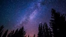 worm's eye view of trees during night time