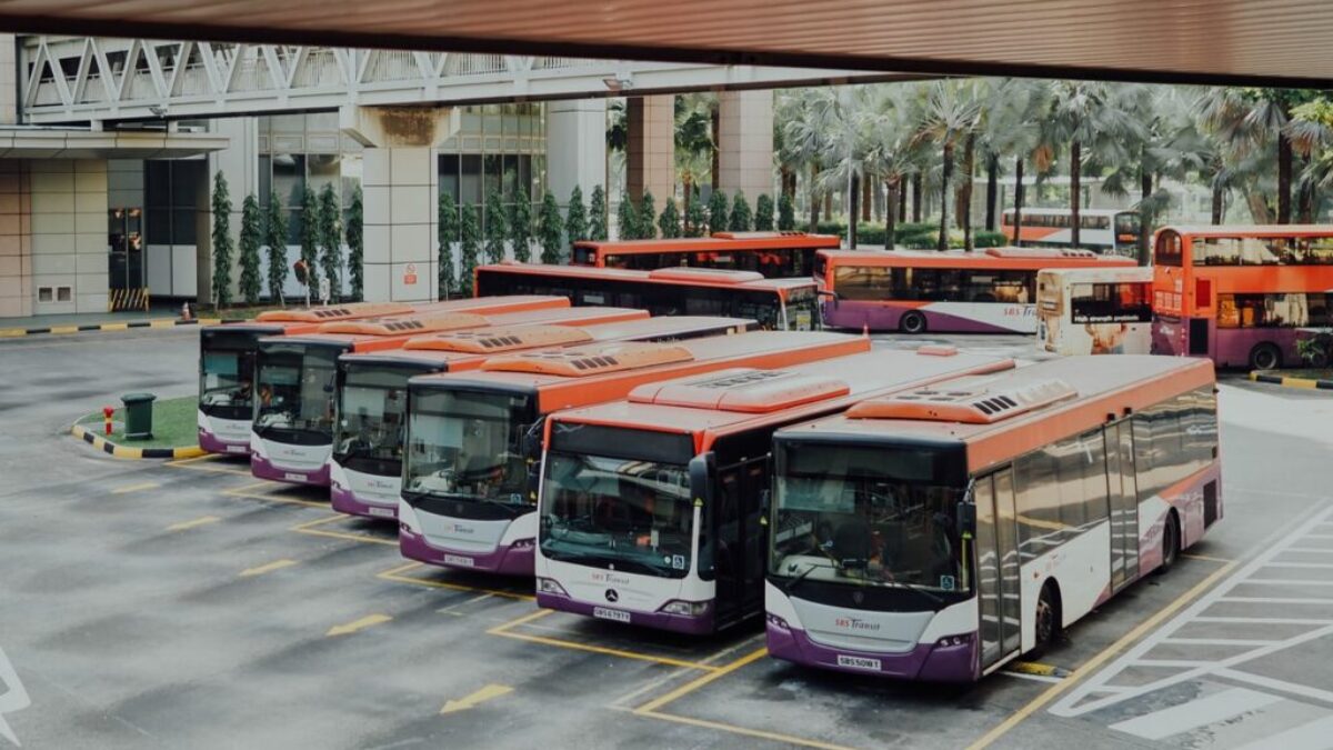 orange and white bus lot