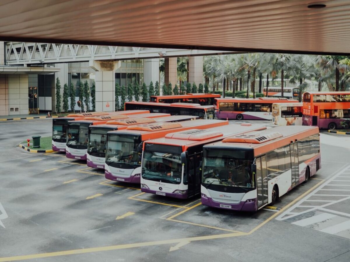 orange and white bus lot