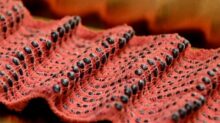 Omnifibers 1024x576 1