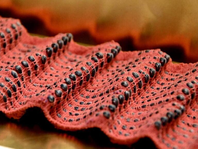Omnifibers 1024x576 1