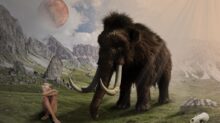Rottonara