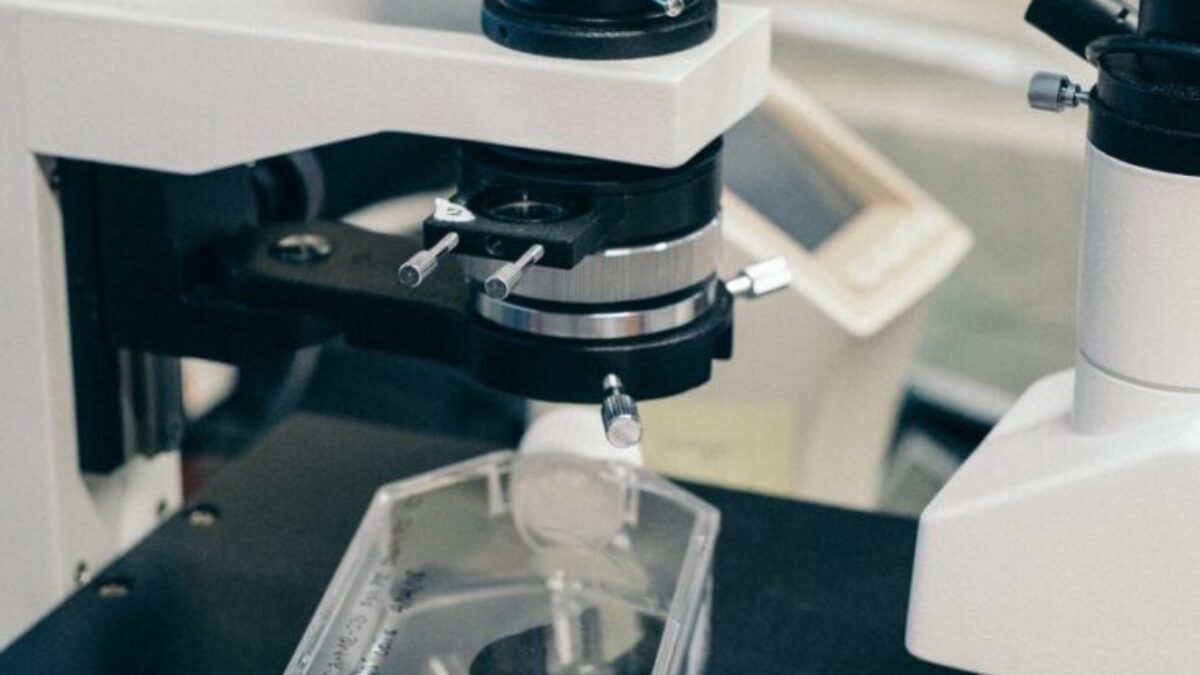 person holding black and white microscope