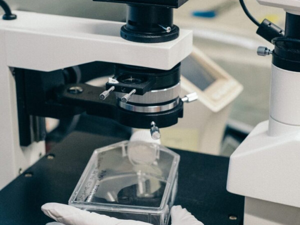 person holding black and white microscope