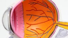 red and white round plastic toy