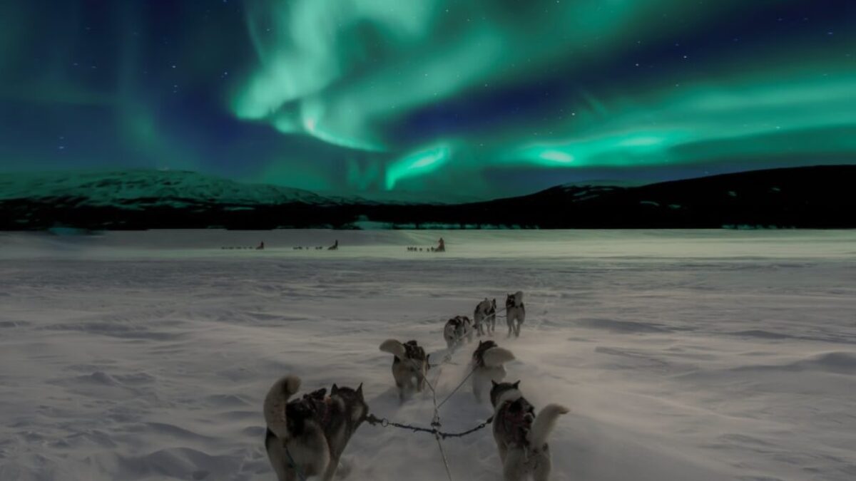 scenery of aurora