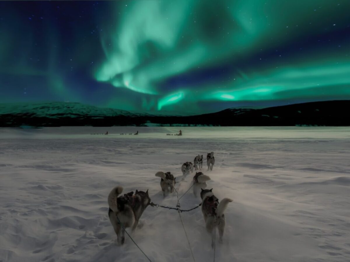 scenery of aurora