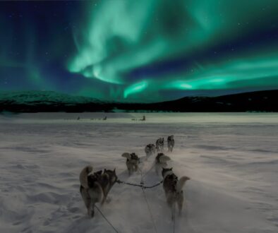 scenery of aurora