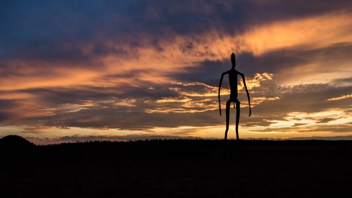 silhouetto of creature during golden hour