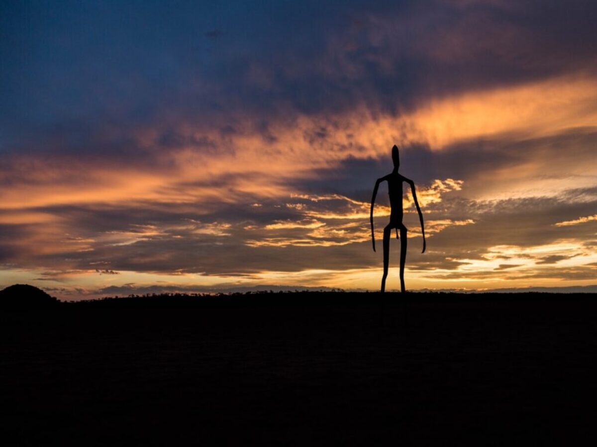 silhouetto of creature during golden hour