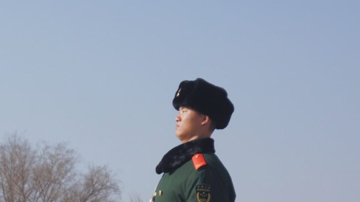 man standing beside leafless trees