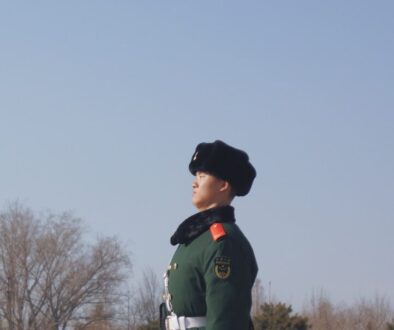man standing beside leafless trees