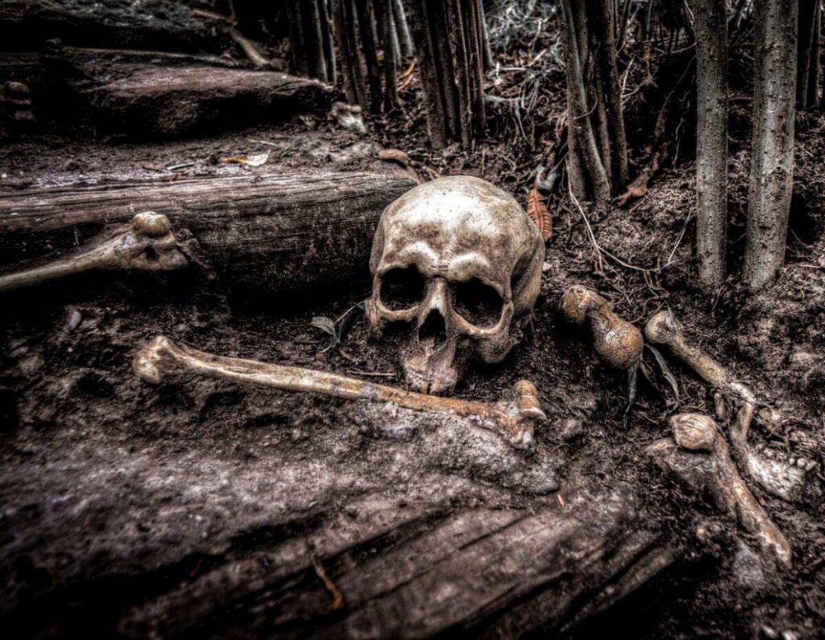Skitterphoto