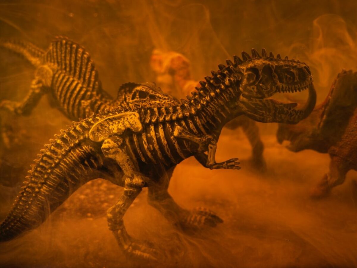 black and brown dinosaur toy