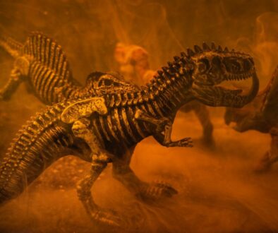 black and brown dinosaur toy