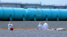 IAEA Imagebank
