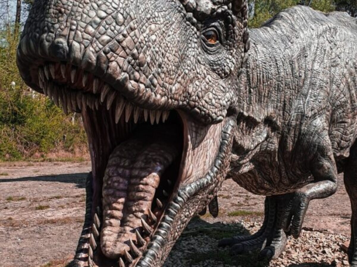 grey and black dinosaur statue