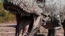 grey and black dinosaur statue