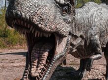 grey and black dinosaur statue