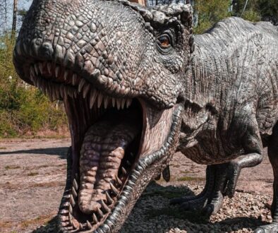 grey and black dinosaur statue