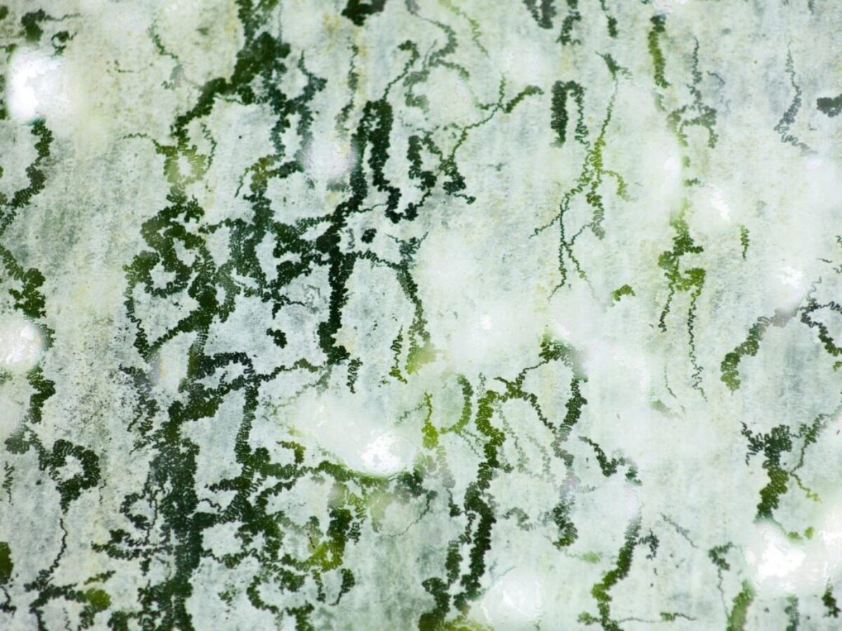 white and black abstract painting