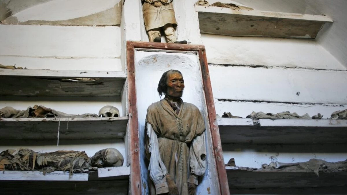 Juan Antonio Segal