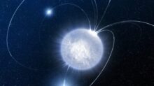 Neutronová magnetická hvězda - magnetar