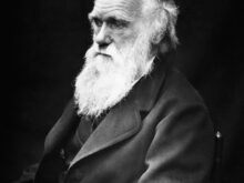 WikiImages